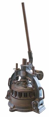 粉丝蒸鲍鱼的做法,蒜蓉粉丝蒸鲍鱼的做法