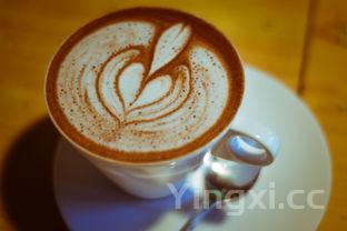 月子餐黄豆炖猪蹄的做法，黄豆炖猪蹄的做法