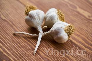 延边精制白酒怎么样,品质口感等方面究竟有着怎样的表现?