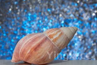 延边精制白酒怎么样,品质口感等方面究竟有着怎样的表现?