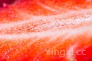 酱香饼的正宗做法教程窍门,酱香饼的正宗做法教程