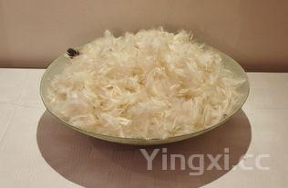 家常爆炒腰花的做法视频，家常爆炒腰花的做法