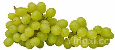 怎样煎荷包蛋(煎荷包蛋视频教学)