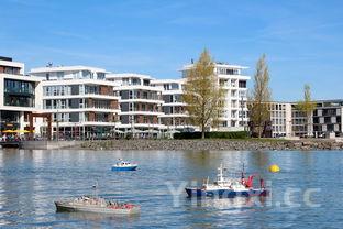 红烧黄花鱼的做法和步骤,黄花鱼的做法