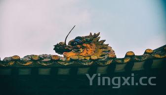 红烧黄花鱼的做法和步骤,黄花鱼的做法