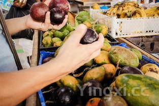 姊妹团子:甜蜜共享的美食记忆