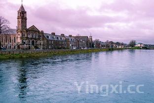 正宗炒年糕片的做法,韩式番茄酱炒年糕的做法