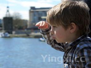 白酒收藏推荐品牌:领略醇厚佳酿,品味岁月珍藏