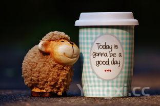 炖狗肉的做法及配料窍门窍门窍门,炖狗肉的做法及配料