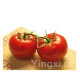 番茄鱼的做法步骤,番茄鱼的做法