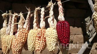 松饼的做法大全,松饼 做法