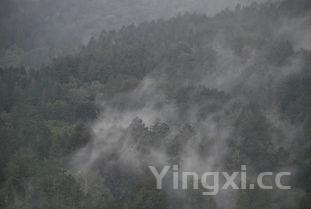 冰山熔岩最简单做法,巧克力熔岩蛋糕做法简单