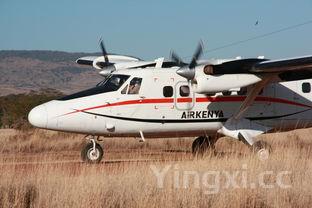 日本航空能否带白酒?一文详解携带规定与注意事项