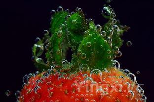 夏天泡腊八蒜的方法,夏天泡腊八蒜的方法窍门