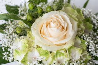 小葱拌豆腐歇后语下一句,小葱拌豆腐歇后语