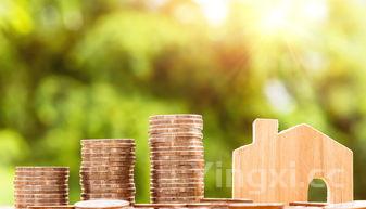 揭秘小白酒代理销售赚钱之道,掌握方法轻松开启财富大门