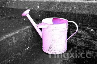 酿酒的方法步骤简单,酿酒的方法步骤