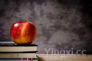 学做南瓜饼,学做南瓜饼全过程教材